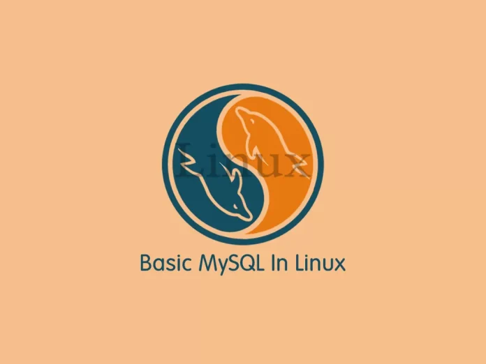 basic mysql in linux