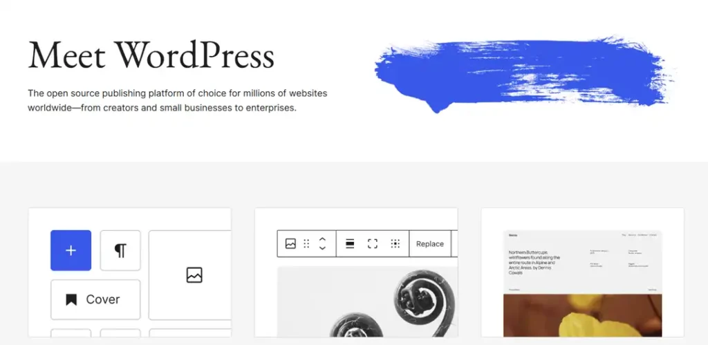 WordPress CMS