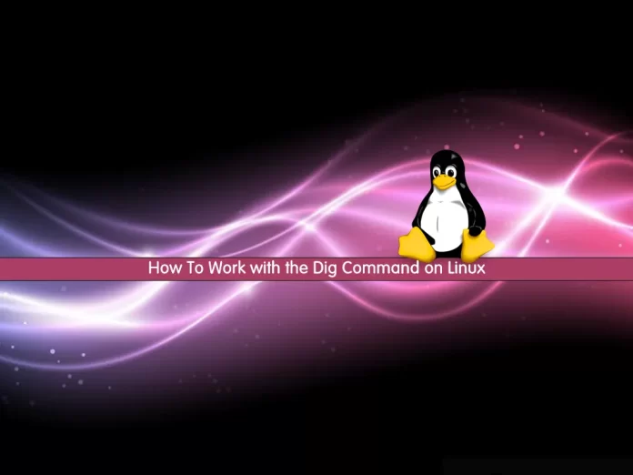 How To Work with the Dig Command on Linux