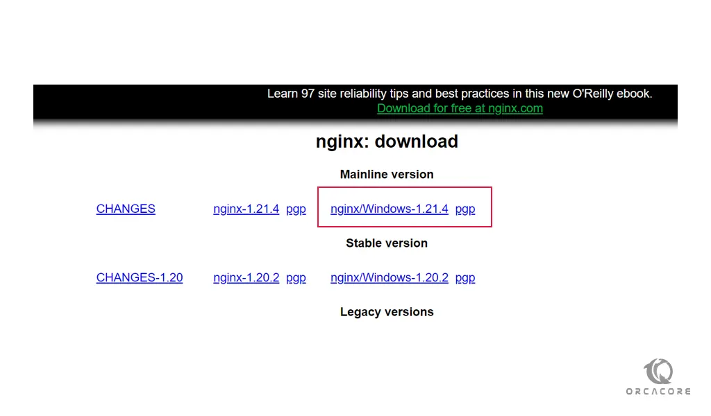 Download Nginx for Windows server