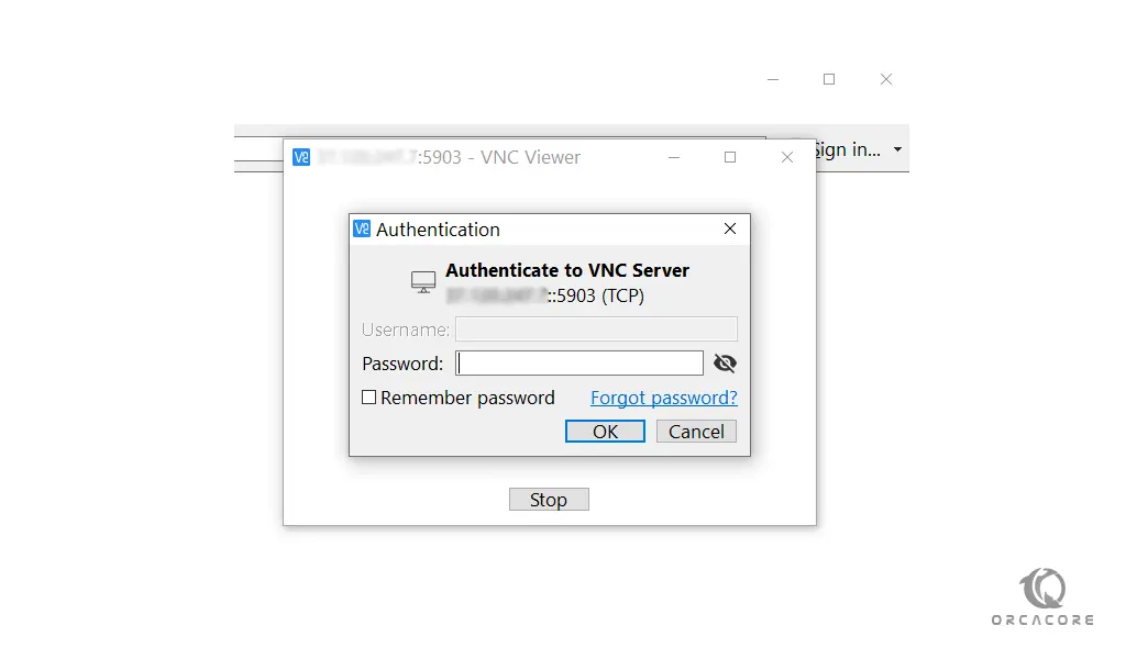 authenticate to VNC server
