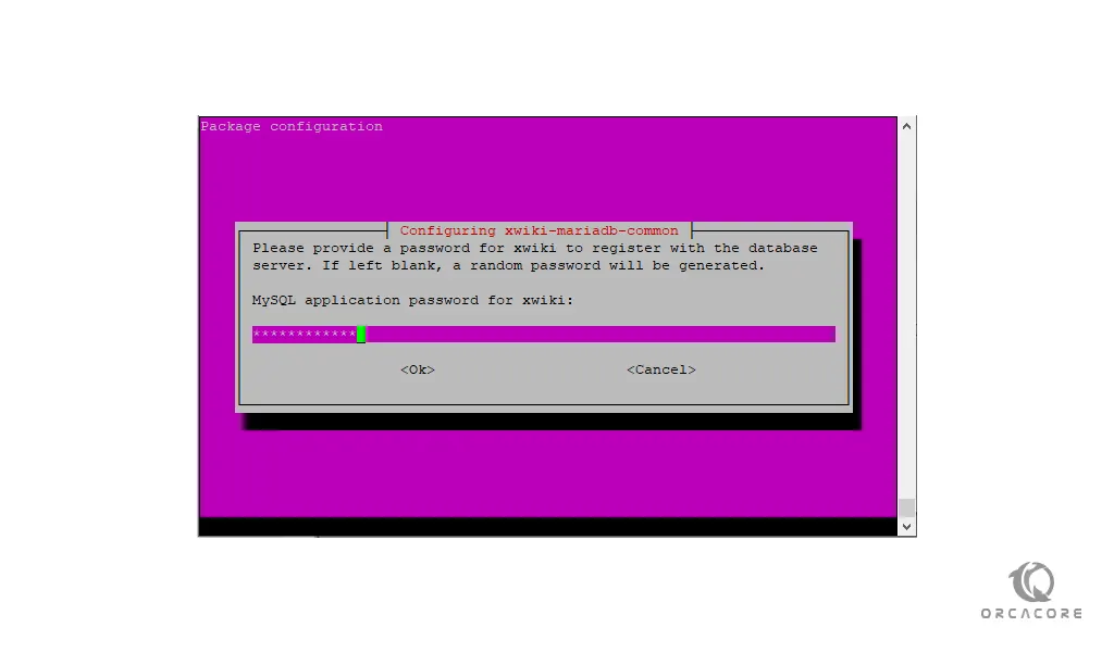 MySQL password for XWiki on Ubuntu 20.04