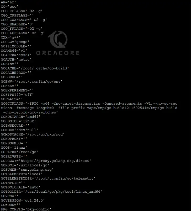 Golang environment variables on Debian 11