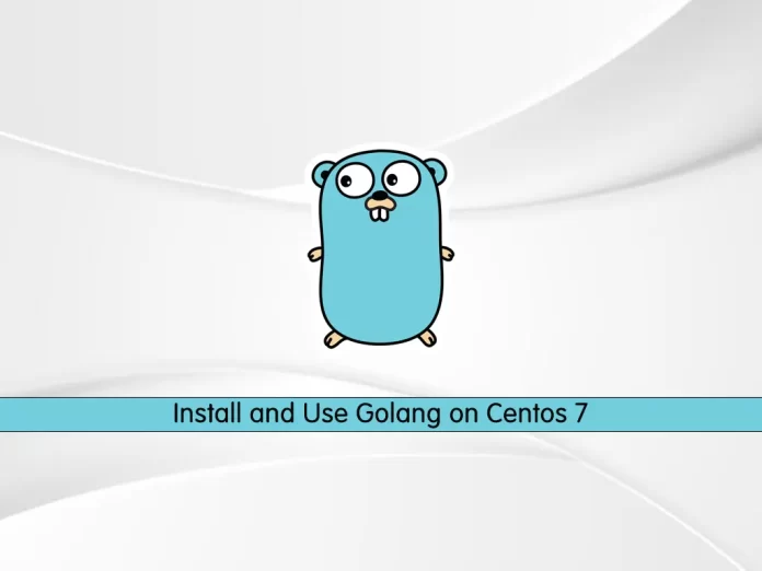 Install and Use Golang on Centos 7