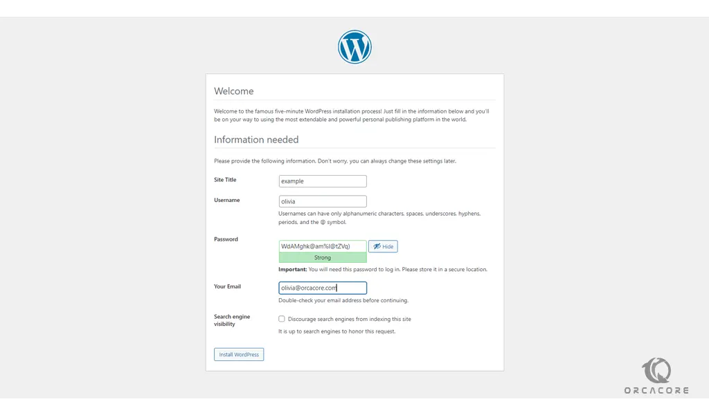 WordPress main setup 