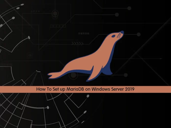 Set up MariaDB on Windows Server 2019