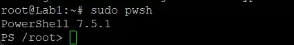 Access PowerShell Console on Ubuntu