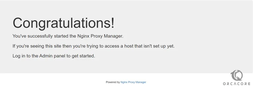 Default Nginx Proxy Manager page