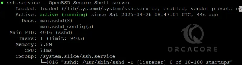 Check SSH Server status