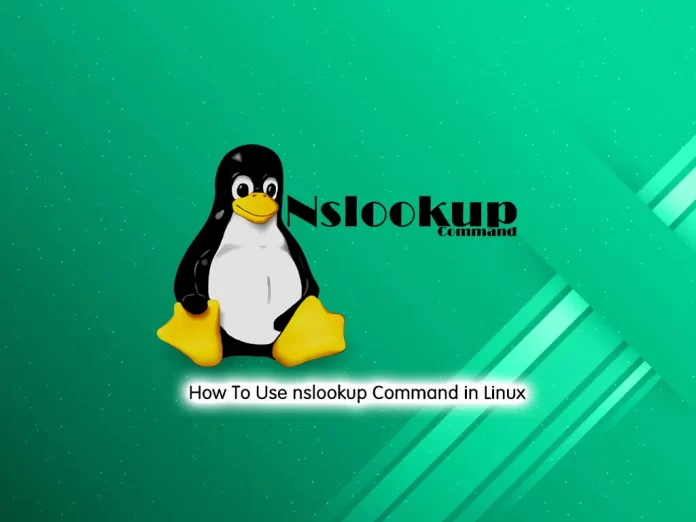 Use nslookup Command in Linux