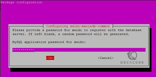 Set MySQL Password for XWiki