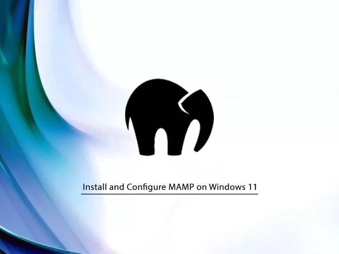 Install and Configure MAMP on Windows 11