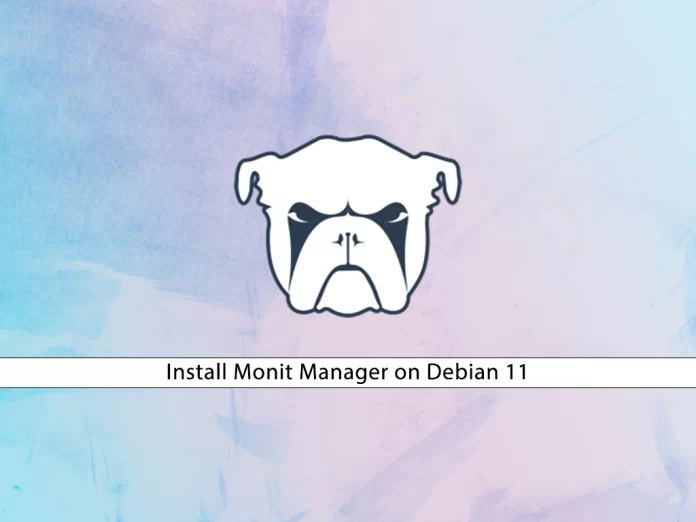 Install Monit Manager on Debian 11