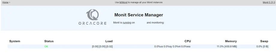 Monit Service Manager