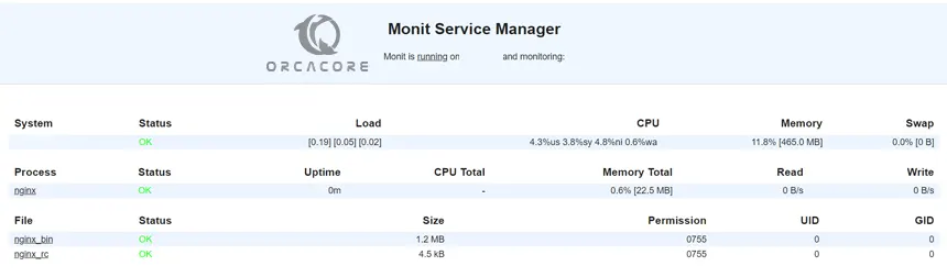 Add Services In Monit on AlmaLinux 8