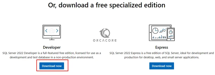 download SQL Server 2022 Developer Edition