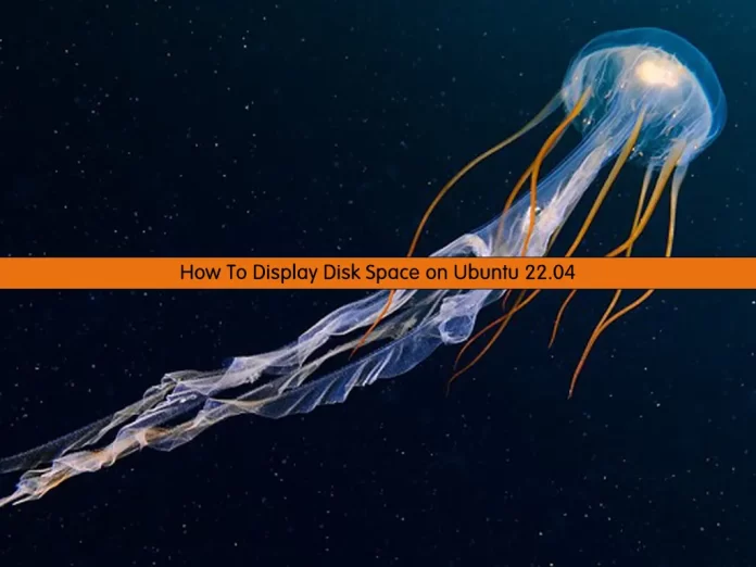 Display or Check Disk Space on Ubuntu 22.04