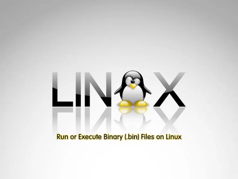 Run Binary Files on Linux