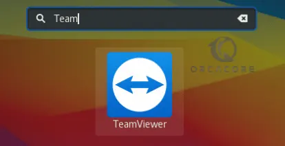 launch teamviewer
