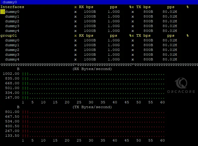 dummy input module for bmon monitor tool