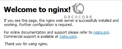 Run Nginx Docker Container with Docker Hub