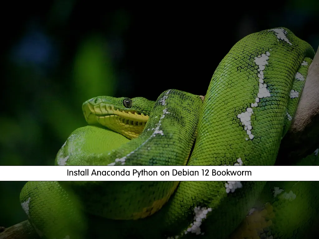 Install Python Debian Bookworm