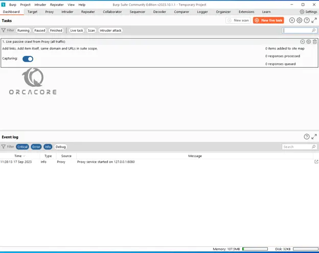 Burp Suite Project Dashboard Windows