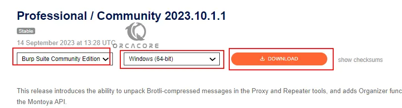 Burp Suite CE Windows Download