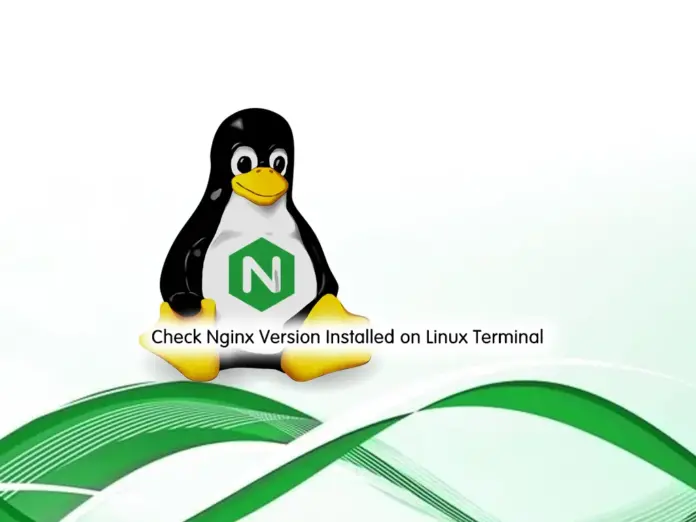 Check Nginx Version Installed on Linux Terminal - orcacore.com