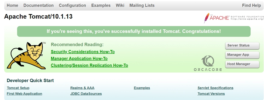 Access Tomcat via web interface