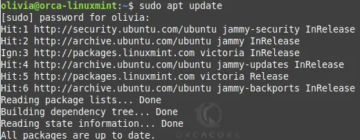 Run system update in Linux mint