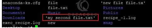Write spaces in Linux filename