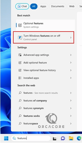 Open Windows 11 Features