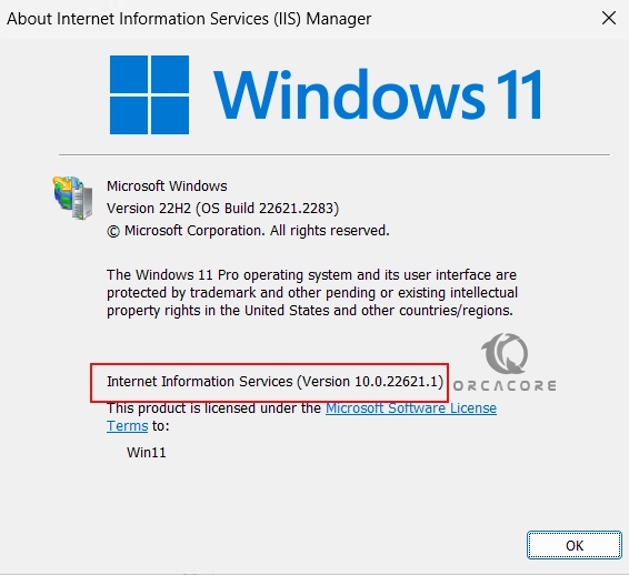 IIS Version Windows 11