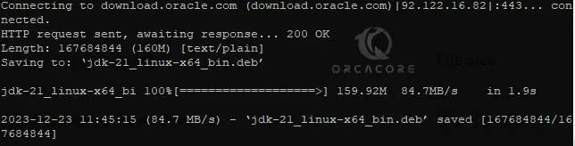 Download Oracle Java Deb Package