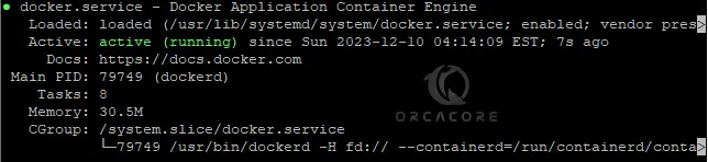 Confirm Docker is Running on RHEL 9