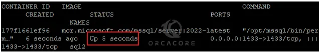 Confirm the MS SQL Container is Active and Running