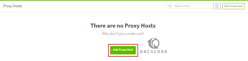 Adding proxy host in NPM