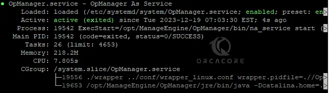 OpManager service status