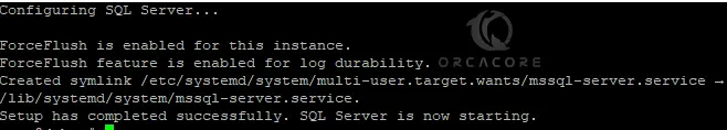 SQL Server Finish setup on Debian 12