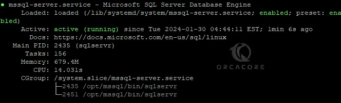 Check MS SQL Server Status on Debian 12