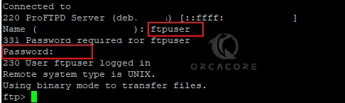 Connect To Ubuntu 22.04 ProFTPD Server Via Linux Terminal