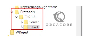 Server and Client TLS 1.3 keys