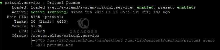 Pritunl service status on Debian 12