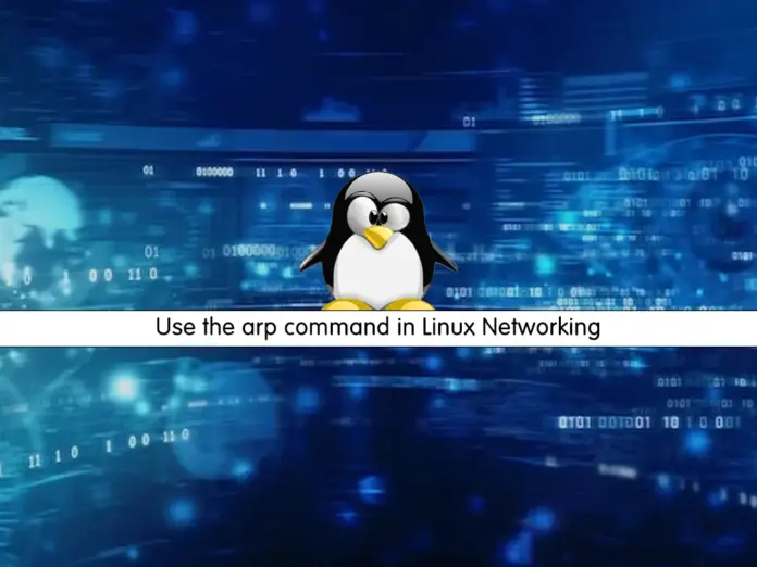 Learn To Use the arp command in Linux Networking - orcacore.com