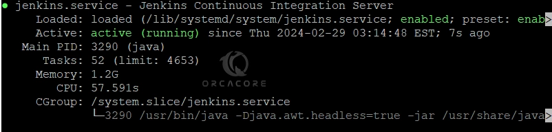 Start and Enable Jenkins Service on Debian 12