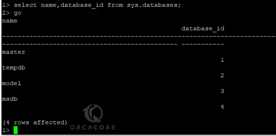 Run SQL Server on localhost in Ubuntu