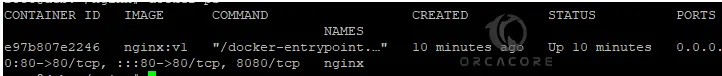 Check Nginx Docker container status