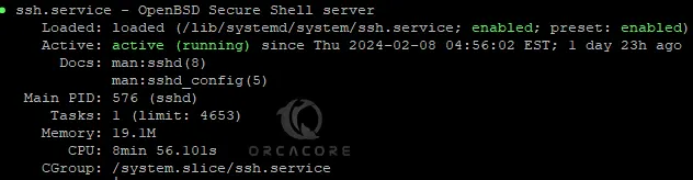 Check SSH service status on Debian 12