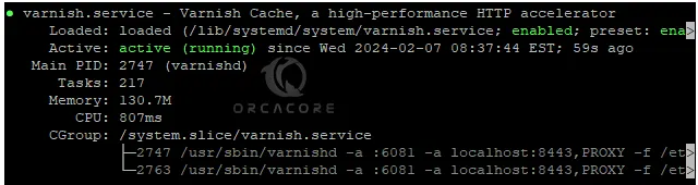 check your Varnish cache is active and running